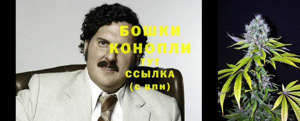 PSILOCYBIN Арсеньев