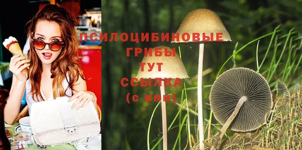 PSILOCYBIN Арсеньев