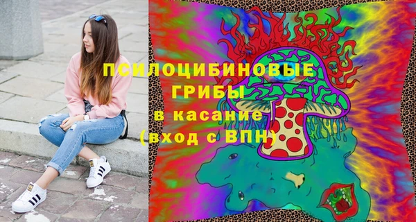 тгк Армянск