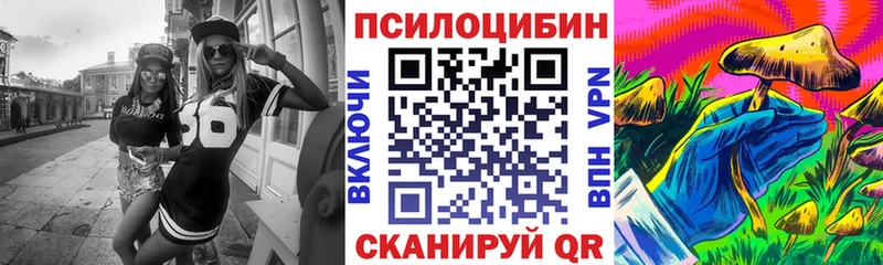 купить наркоту  Михайловка  Галлюциногенные грибы Psilocybine cubensis 